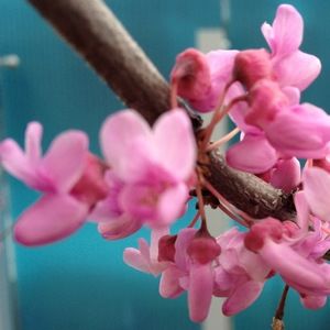 Meet your Posher, Mai huong